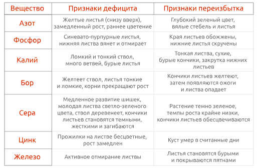 Питание для конопли